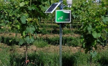 Stazioni agro-meteorologiche_5
